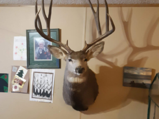 hunting-gallery-04