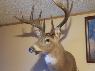 hunting-gallery-05
