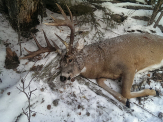 hunting-gallery-10