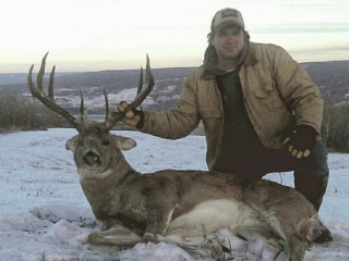 hunting-gallery-17
